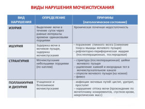 Отсутствие позывов к мочеиспусканию у женщин причины