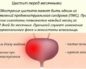 Частое мочеиспускание при месячных причины