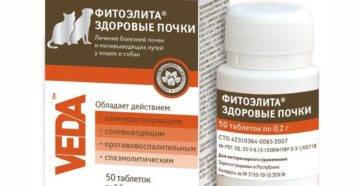 Лекарства для профилактики и лечения почек и мочевыводящих путей
