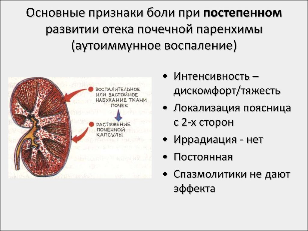 Воспаление паренхимы почки