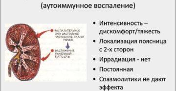 Воспаление паренхимы почки
