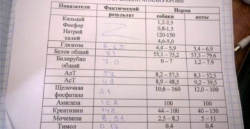 Электролиты в моче что это значит