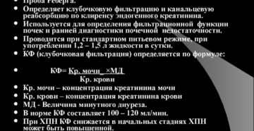Функциональные пробы почек это