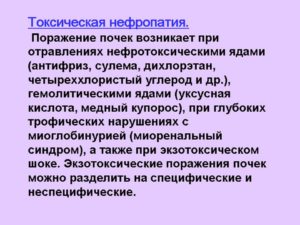 Нефропатия почек токсическая