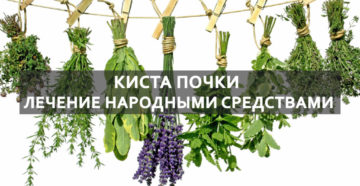 Как избавиться от кист в почках народные средства