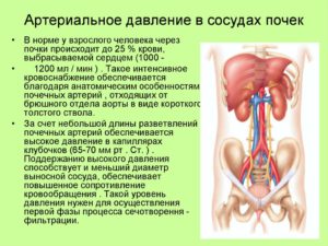 Почки и высокое нижнее давление