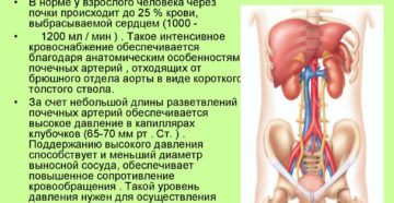Почки и высокое нижнее давление