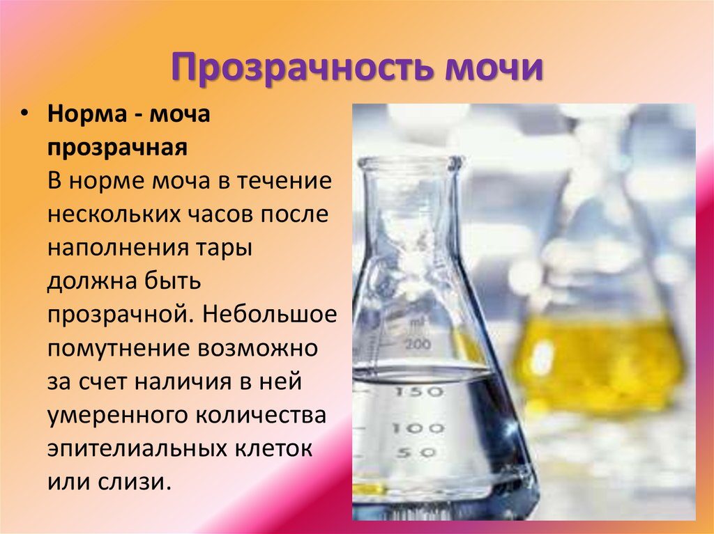 Что означает если прозрачная моча