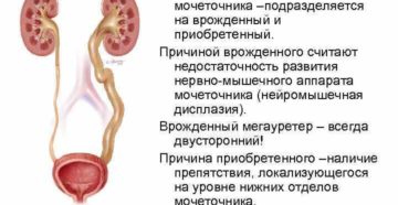 Причины расширенный мочеточник