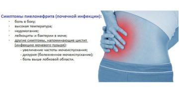 Цистит боль в почках температура