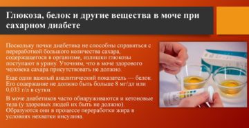 Белок и сахар в моче