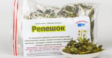 Сбор трав при болях в почках