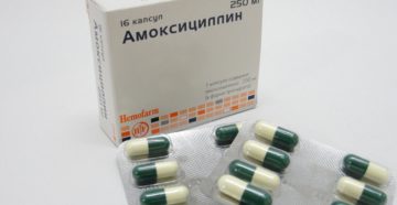 Помогает ли амоксициллин при пиелонефрите