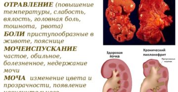 При рвоте и поносе болят почки