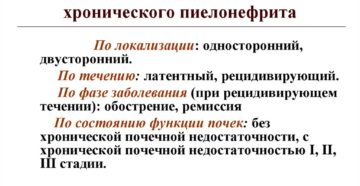 Хронический пиелонефрит 2 степени