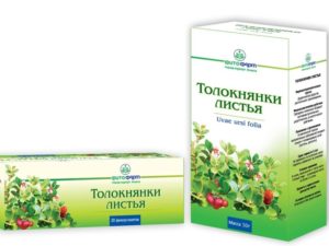 Толокнянка для лечения почек