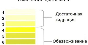 Почему моча лимонного цвета