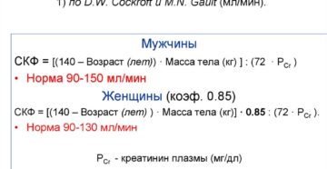 Как определить скорость клубочковой фильтрации почек