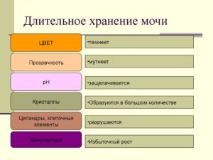 Сколько может храниться моча ребенка для анализа