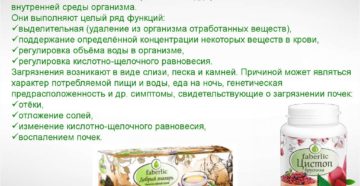 Почистить почки препараты