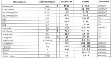 Норма креатинина мг