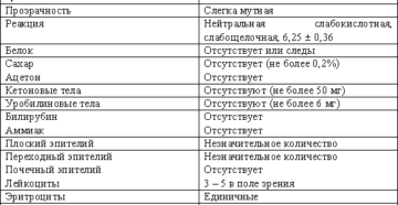 Анализ мочи до скольки