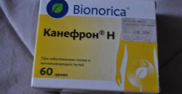 Как быстро помогает канефрон при пиелонефрите