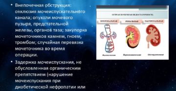 Почечная недостаточность при раке