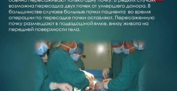 Где берут почку для пересадки