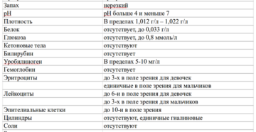 Белок в моче у подростка что это значит