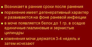 Инфекционно токсическая нефропатия