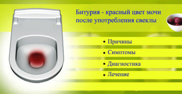 Может ли моча поменять цвет от свеклы