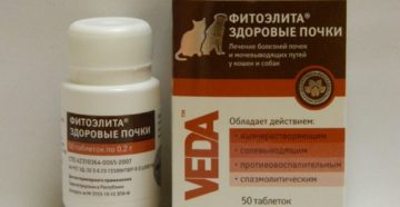 Здоровые почки инструкция