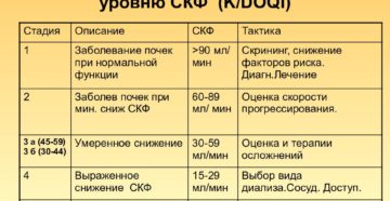 Хроническая болезнь почек 3а стадии