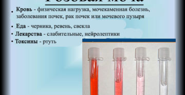 Розоватая моча у ребенка
