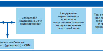 Ночное недержание мочи у мужчин после алкоголя причины