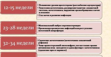 Пиелонефрит лечение у беременных