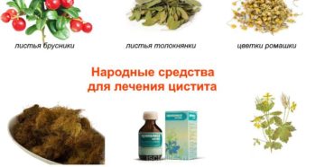 Цистит симптомы и лечение народными средствами