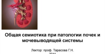 Почки пропедевтика внутренних болезней