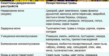 Народные средства для лечения недержания мочи у мужчин