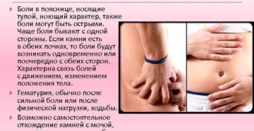 Как понять болит почка или спина