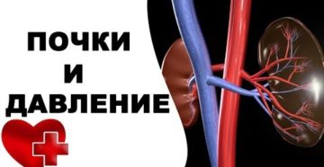 Могут ли почки влиять на давление