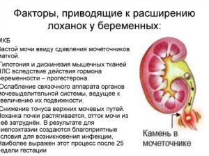 Беременность у ребенка увеличены почки