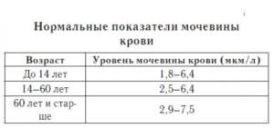 Мочевина в крови выше нормы