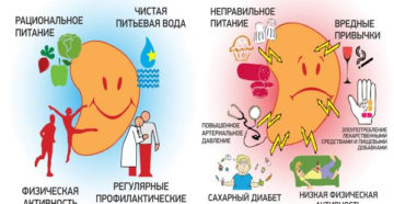 Не работают почки сколько осталось жить