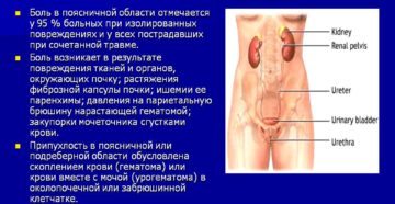 Почка пульсирует без боли что это
