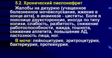 Жалобы при хронического пиелонефрита