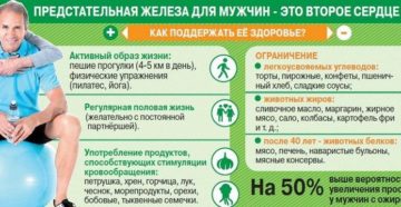 Профилактика гиперплазии предстательной железы