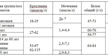 Мочевина в крови у ребенка
