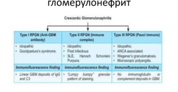 Быстропрогрессирующий гломерулонефрит лечить